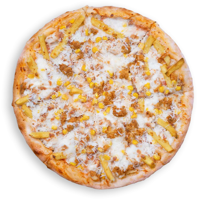 Pizza Parmesan