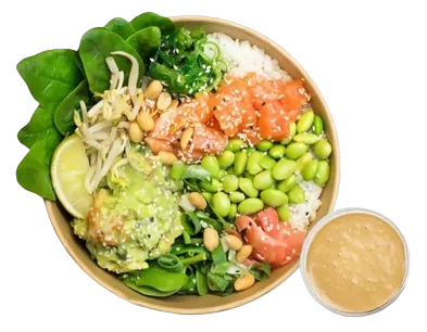 Guacamole & Salmon